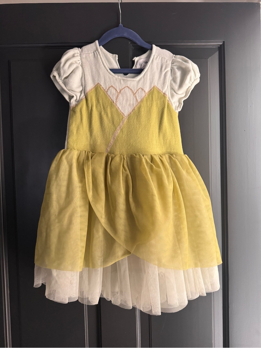 GAP Disney Princess Tiana Short Sleeve Sweater Dress Tulle Skirt 5T